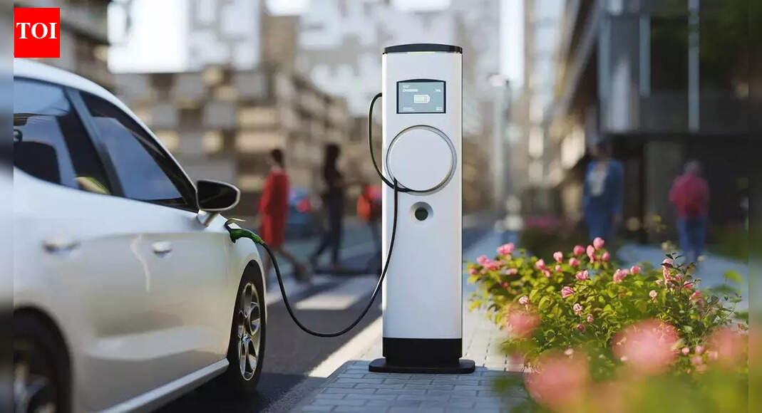 Tesla cofounder has this 'EV solution' to help reduce America's dependence on China for critical minerals