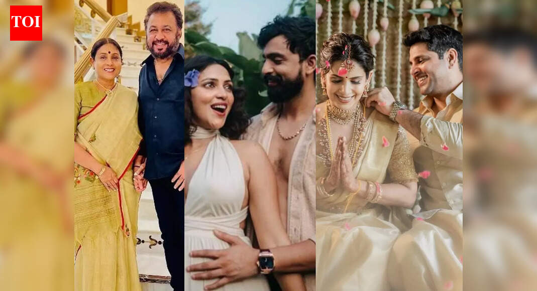 Sarayna Ponvannan, Samyuktha Shanmuganathan, Amala Paul: South actresses who found true love the second time