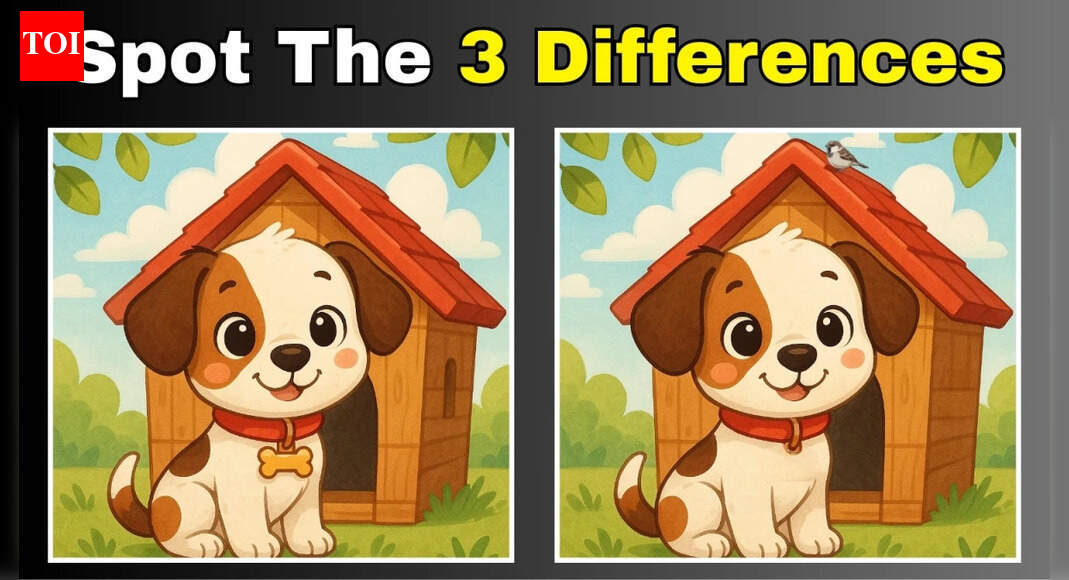 Optical illusion: Can you spot 3 differences in this dog image under 12 seconds?