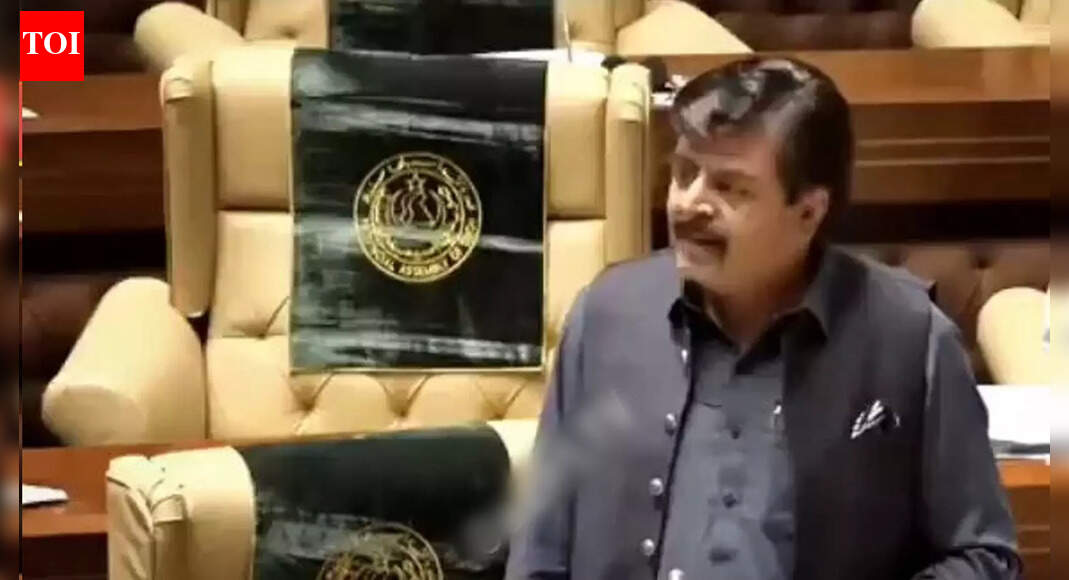 'They Are Ours, We'll Prove It': Pakistani Leader's Absurd Claim On 'Gujarat, Haryana, Rajasthan'