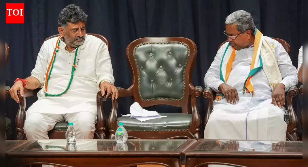 <div>Karnataka CM tussle: BJP floats new theory; Bommai says 'dark horse' may take over reins</div>