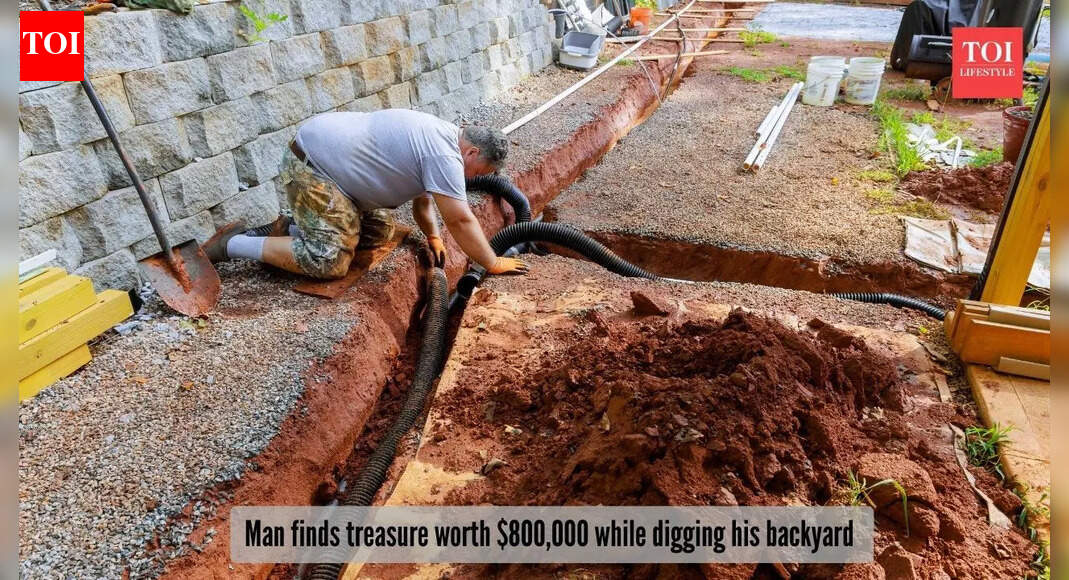 Man hits jackpot as he finds Gold bars worth $8,00,000 while digging his yard; details inside!