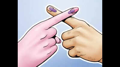 Draft electoral rolls published for Karnataka legislative council elections