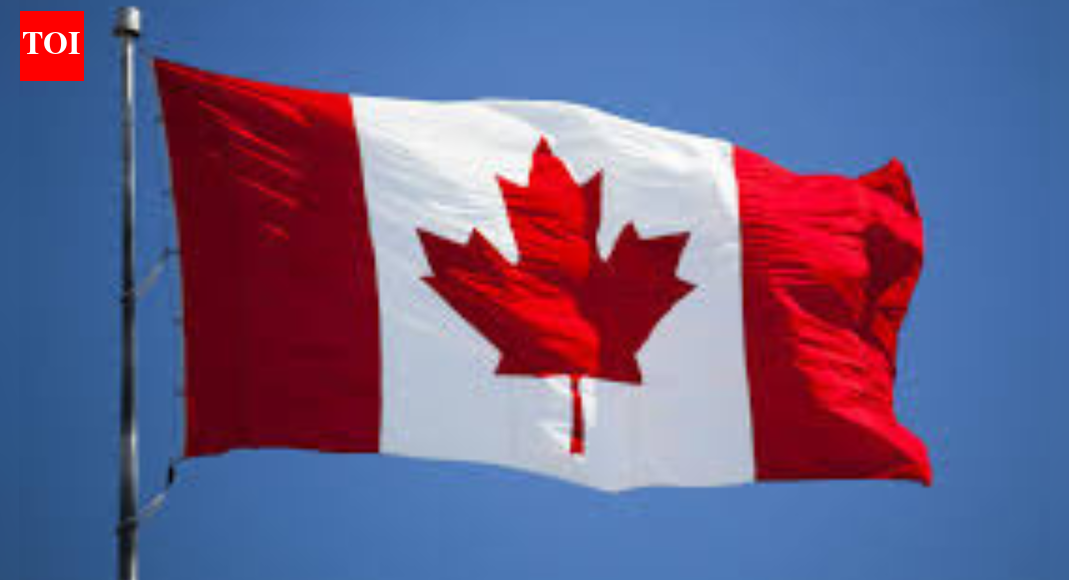 <div>Man tells Ontario court he did 'sham marriages' in India to help Indian women immigrate to Canada</div>