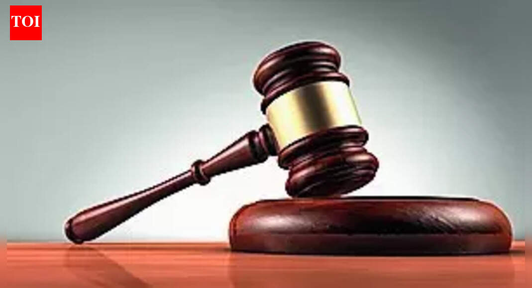 High court issues notice on plea to protect Assagao’s Dossoxir spring