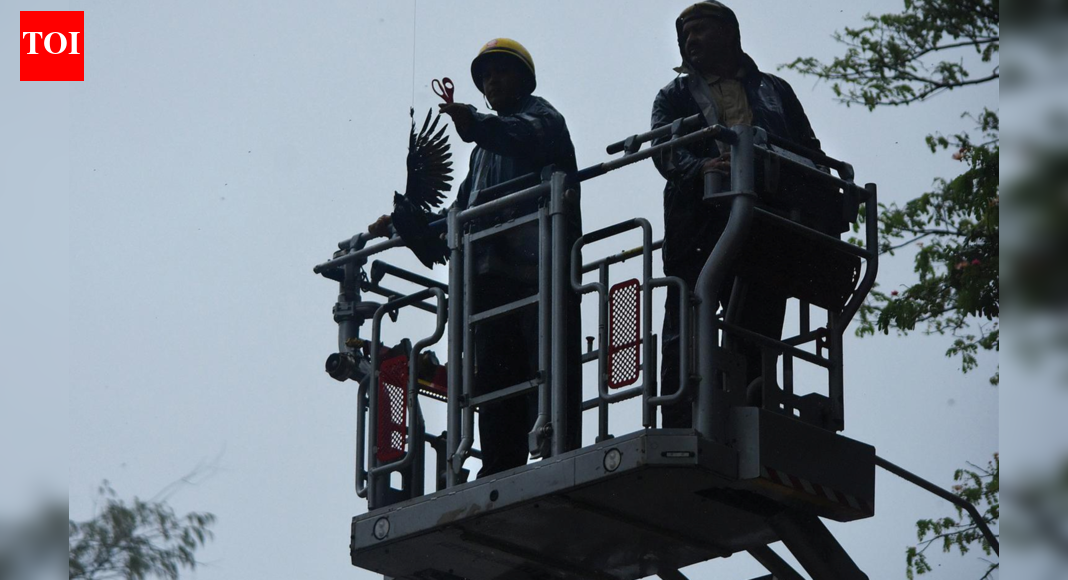 Firefighters say animal rescues more taxing than fires as dept receives two calls per day