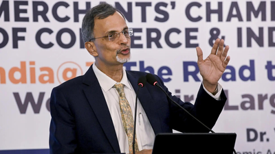 Economy likely to surpass $4 trillion mark in FY26: CEA