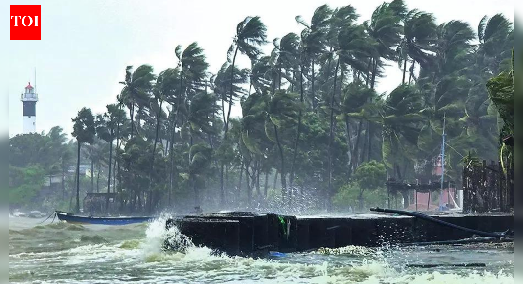 Cyclone Ditwah nears Tamil Nadu coast: India on high alert after Sri Lanka death toll tops 80; IMD issues red alert
