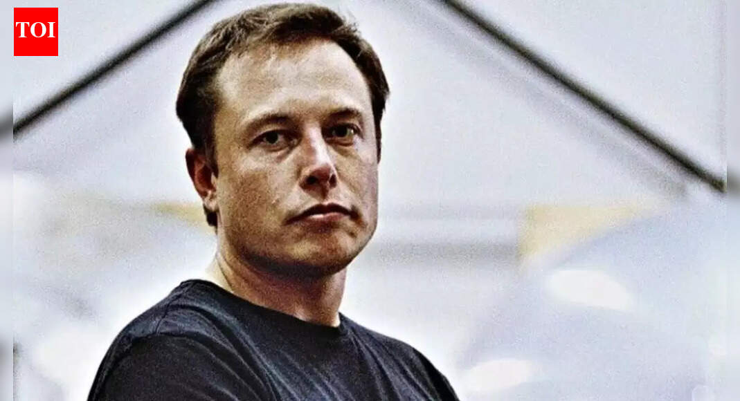 Chinese government issues warning on the industry that Elon Musk had said worries him
