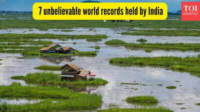 From floating park to tallest statue: Unbelievable world records held by India you probably did not know of!