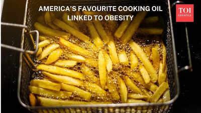 America’s favourite cooking oil linked to obesity, scientists find