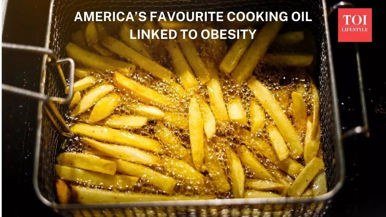 America's Favourite Cooking Oil Linked to Obesity, Study Finds