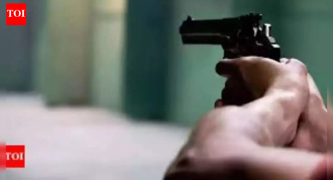 'Maaro goli, main vakilon se nipat loonga': DJ operator’s father shot dead over music dispute at UP wedding