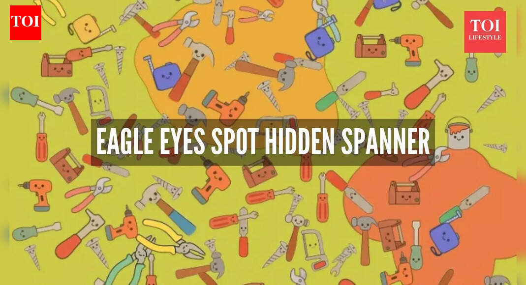 Only a person with eagle-sharp eyesight can spot the hidden spanner quickly