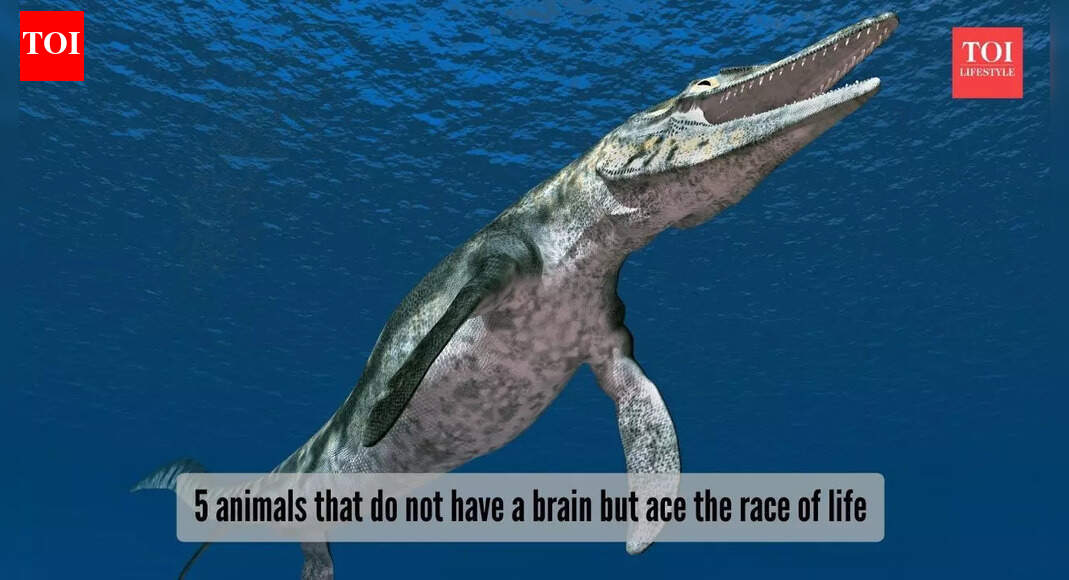 ​5 animals that went extinct in recentyears​