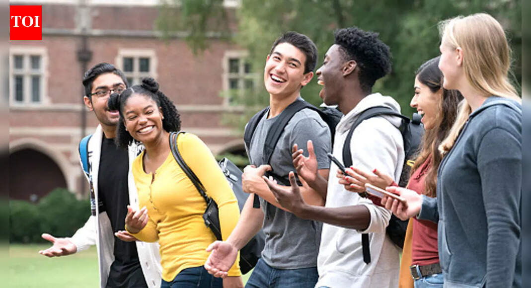 US student loans and tax planning 2025: Four year-end steps for IRS and IDR borrowers