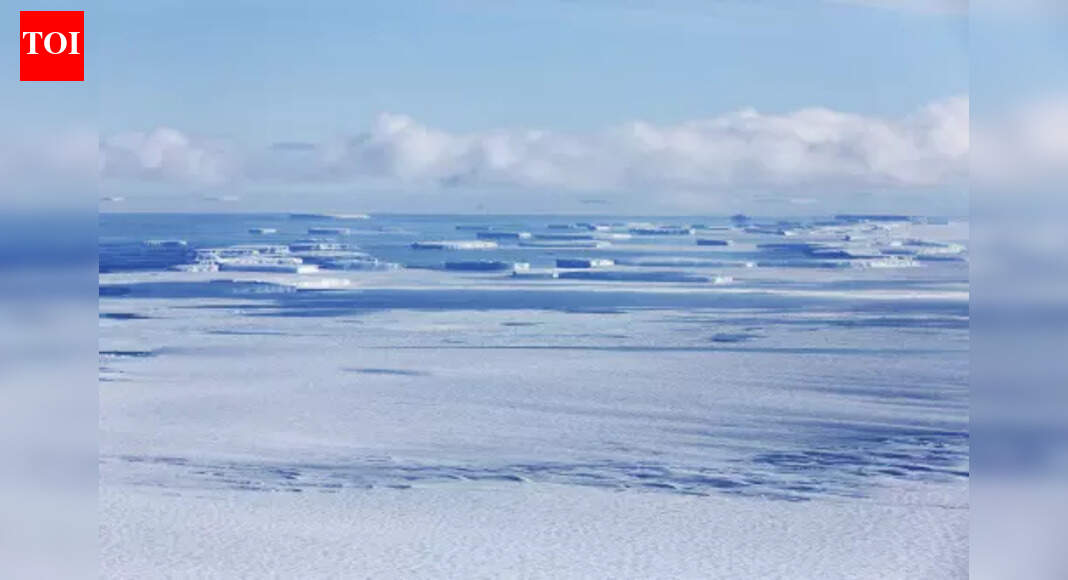 Spl stamp to mark NCPOR’s silver jubilee on Antarctic Day