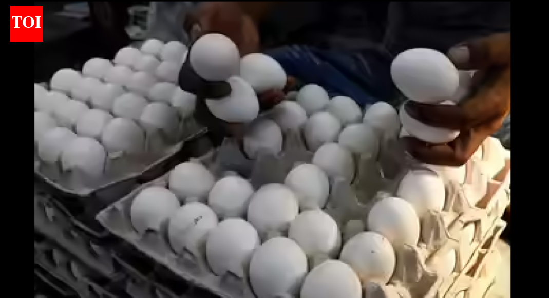 Namakkal egg price remains unchanged at Rs 6.10, may rise further in December