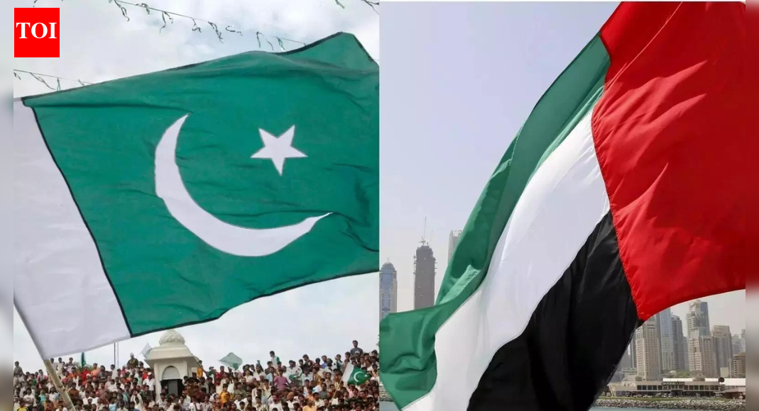 'Divert their flights to…’: British far-right activist reacts to UAE stopping visas for Pakistani citizens