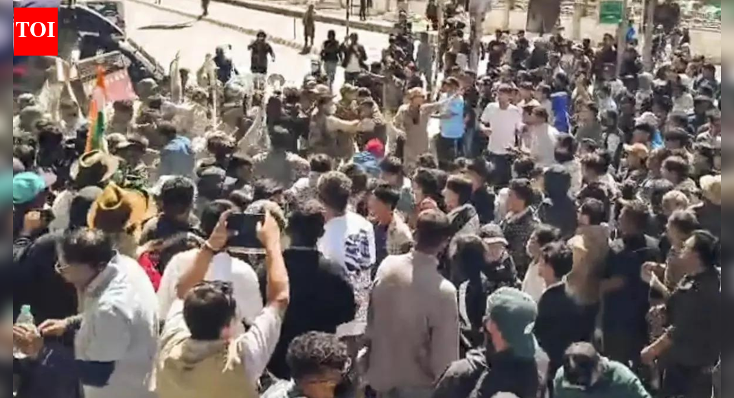 Get medical reports of injured, Leh body urges firing probe panel