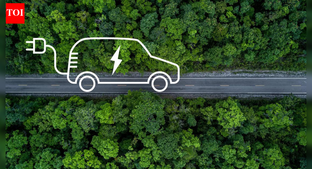 EVs from last millennium, vehicles registered in 1900: Database anomalies set off clean-up drive