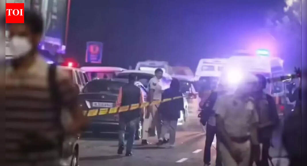 Industrialist’s bahu found dead in south Delhi: ‘Suicide’ victim was dragged, assaulted when she was pregnant, says mom