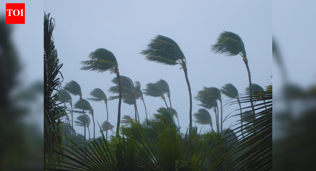 Cyclone Ditwah nears Tamil Nadu–Puducherry coast; flights cancelled, alerts issued