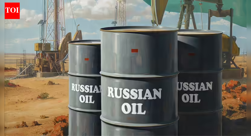 'Shadow fleet': India imported 5.4m tonnes of Russian oil; how Moscow dodged curbs