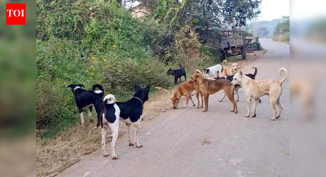 Secure anganwadis from stray dogs by Dec 31: Odisha govt