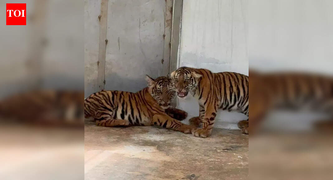 Abtak.com - Other - News Image