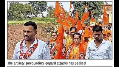 Leopard fear darkens campaign in 3 regions