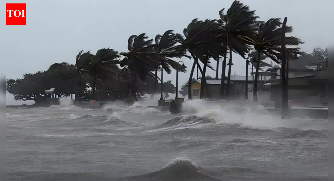 Cyclone Ditwah rampage: Tamil Nadu reports 3 deaths as storm drenches state; Sri Lanka devastated with 330+ dead