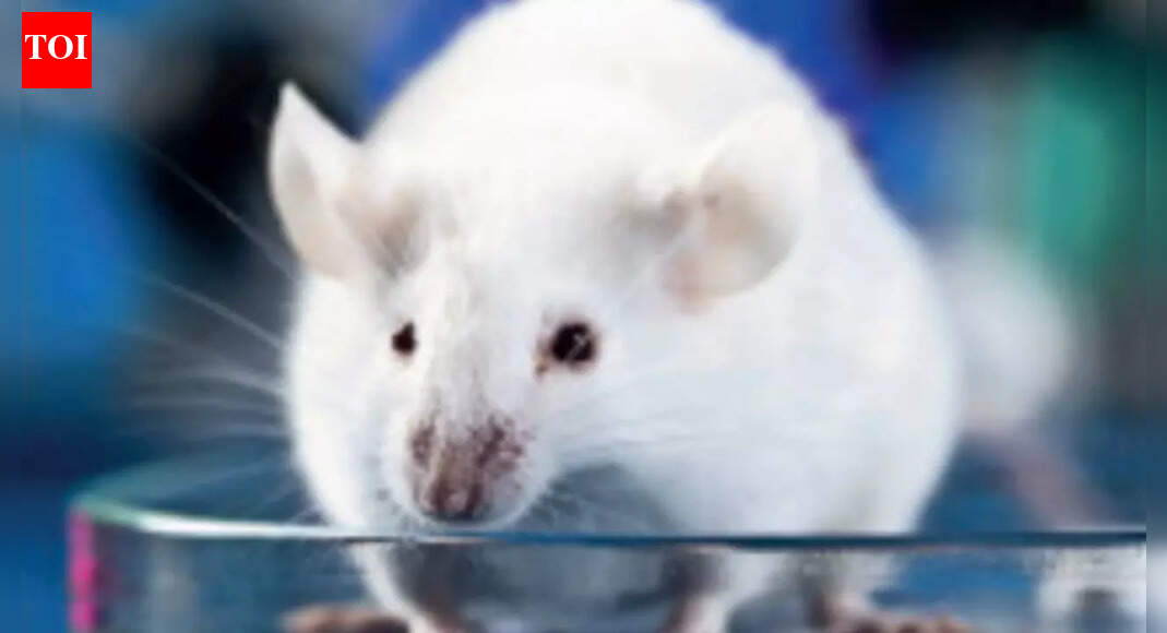 No domestic air transport for live animals for laboratory experiments in India; researchers face challenges