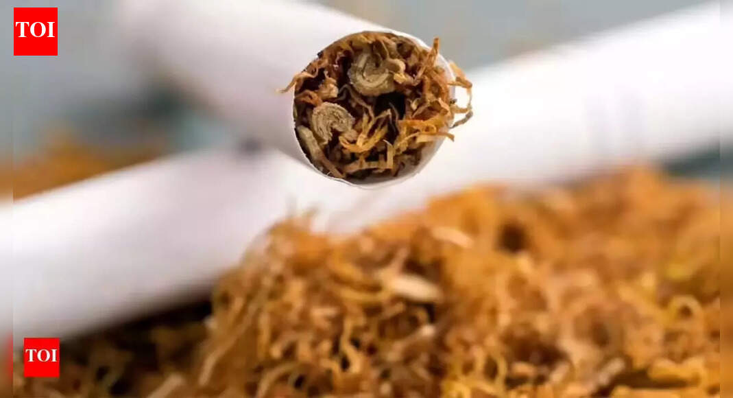 Parliament Winter Session: Govt to introduce Central Excise (Amendment) Bill 2025