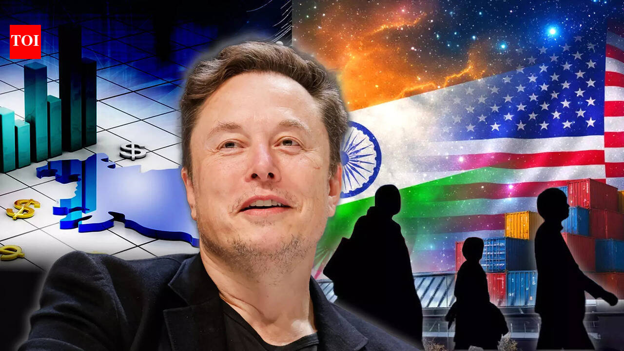 'US Benefited Immensely From Indians', Says Tesla CEO Elon Musk, Warns ...