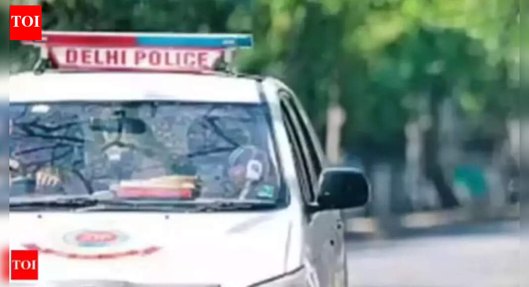 'Was against her going out for parties': Man kills wife in Delhi’s Jafrabad over suspected affair; accused held