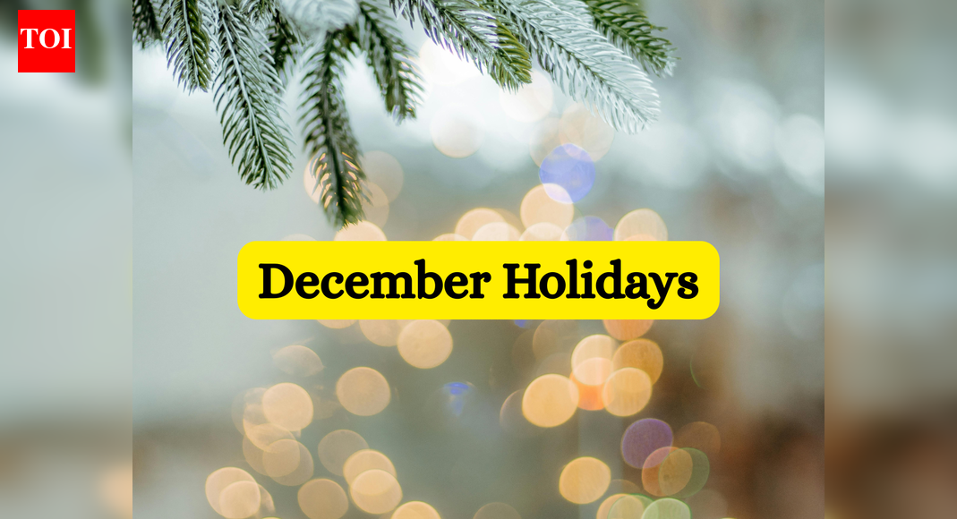 December 2025 school holidays: Winter vacation, Christmas and more -- check list