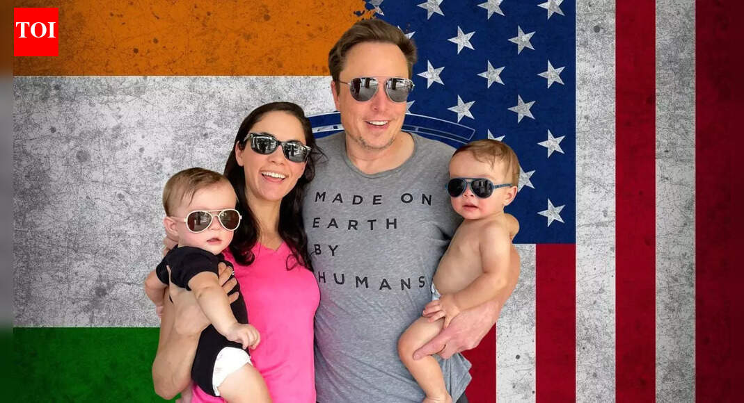 Elon's desi beta: A cheatsheet to desi 'heir' to Tesla CEO's fortune