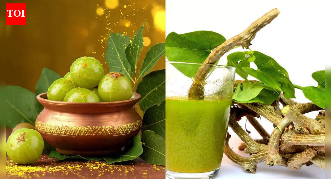 Amla juice vs Giloy juice: Which is better for Diabetes?