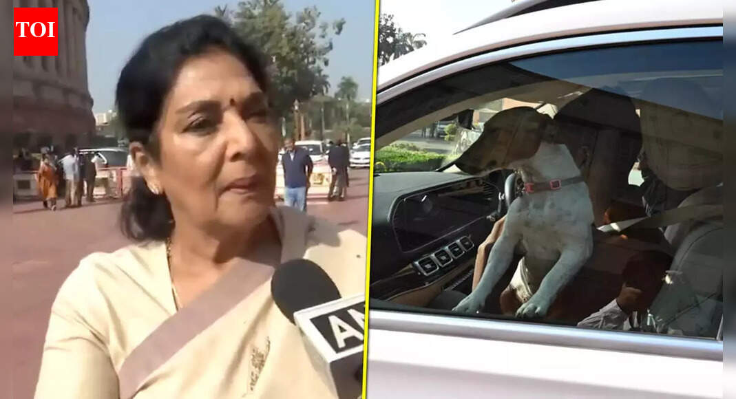 ‘Is There Any Law?’ Renuka Chaudhary Sparks Row After Bringing Stray Dog to Parliament