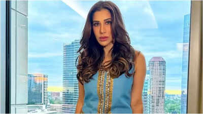 Sophie Choudry claps back at a troll asking about how she is surviving in Bollywood: 'Through the live show market'