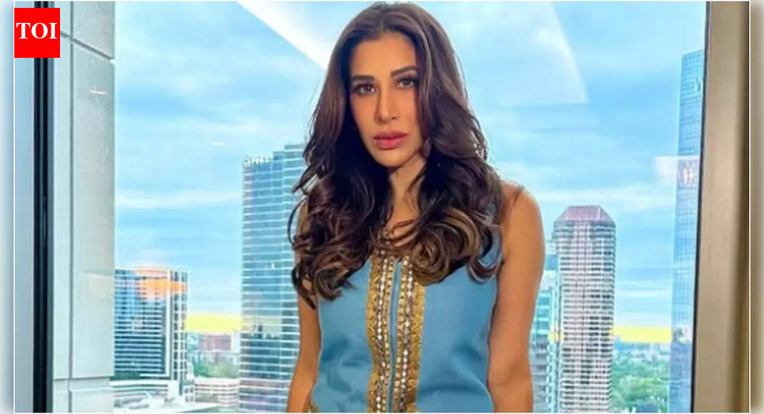 Sophie Choudry claps back at a troll asking about how she is surviving in Bollywood: 'Through the live show market'
