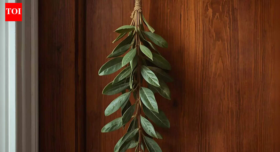 Hang THIS simple kitchen herb on your door and watch your nighttime stress disappear