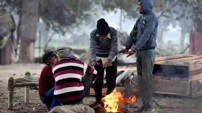 Central and adjoining northwest India may face chilly winter with more number of cold wave days: IMD