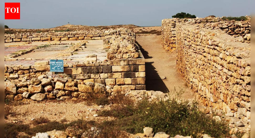 How monsoon failure slowly erased the Indus Civilization, according to new Harappan research