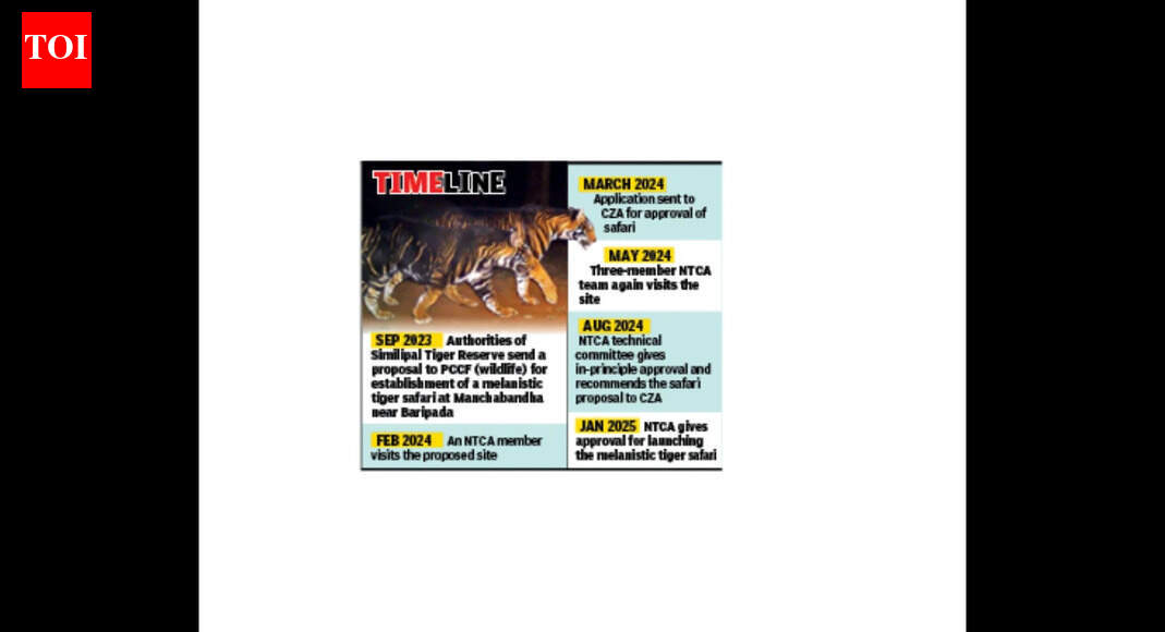 Odisha's melanistic tiger safari inches closer to reality after Supreme Court ruling