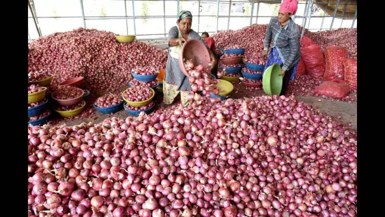 55% rise in avg wholesale price of new kharif onions | Nashik News - The  Times of India