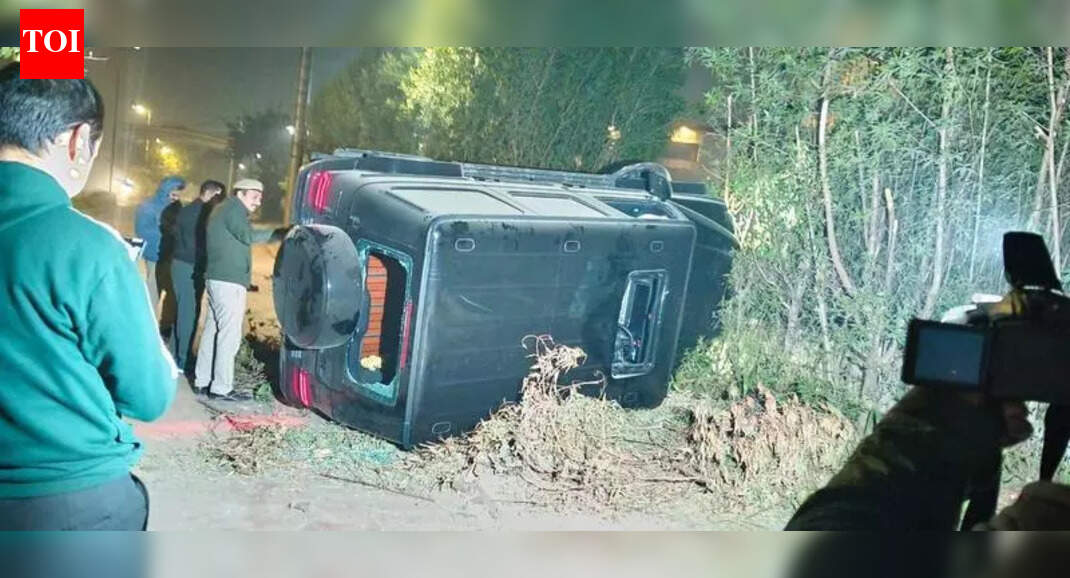 Delhi: Mercedes G-63 driver who killed chef, injured 2 gets bail; victim's family demands action