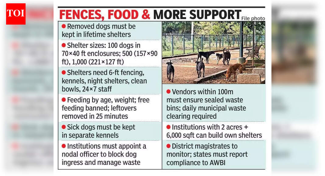 Care mandate kicks in: Lifetime shelter, food, vax for captured stray dogs