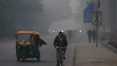 Winter may be chillier with more cold waves in parts of north: IMD